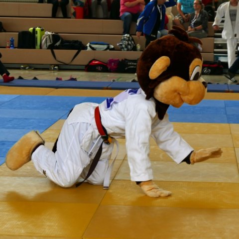 036_g-judo_20180428